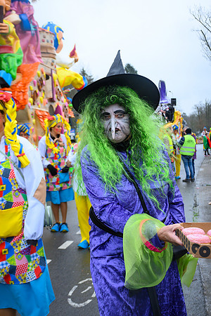 Vennemuskes Grote Twentse Carnavalsoptocht (12 van 117)