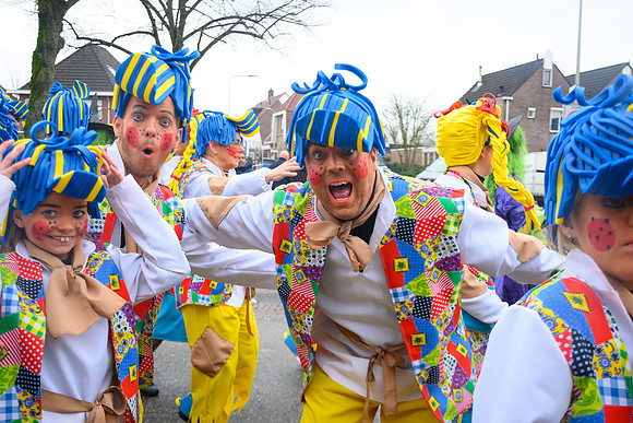 Vennemuskes Grote Twentse Carnavalsoptocht (33 van 117)