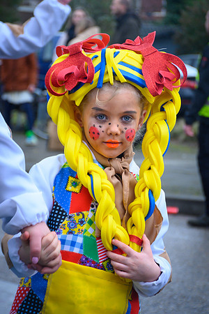 Vennemuskes Grote Twentse Carnavalsoptocht (36 van 117)