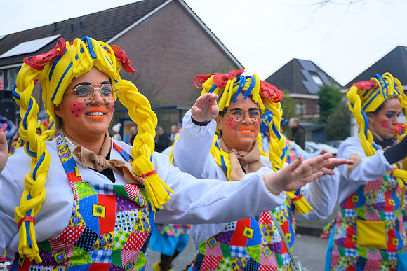 Vennemuskes Grote Twentse Carnavalsoptocht (35 van 117)