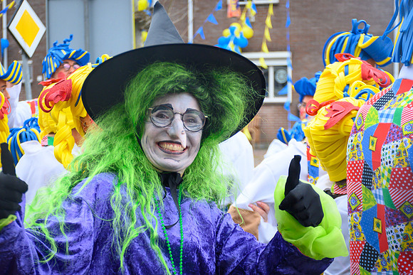 Vennemuskes Grote Twentse Carnavalsoptocht (43 van 117)