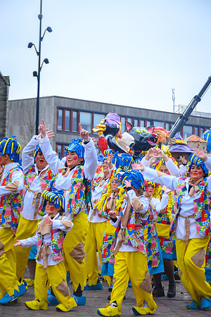 Vennemuskes Grote Twentse Carnavalsoptocht (86 van 117)