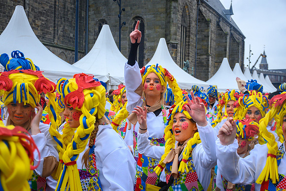 Vennemuskes Grote Twentse Carnavalsoptocht (102 van 117)
